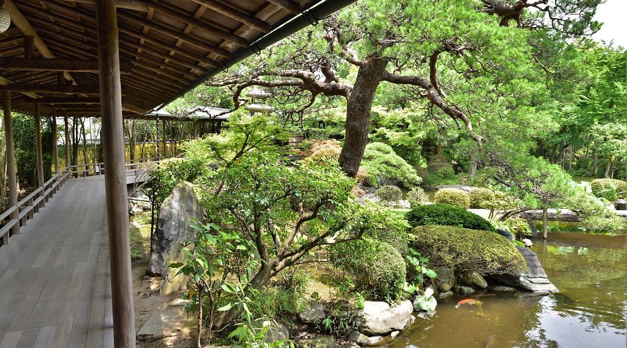 🙏 시바마타 다이샤쿠텐 이미지 6